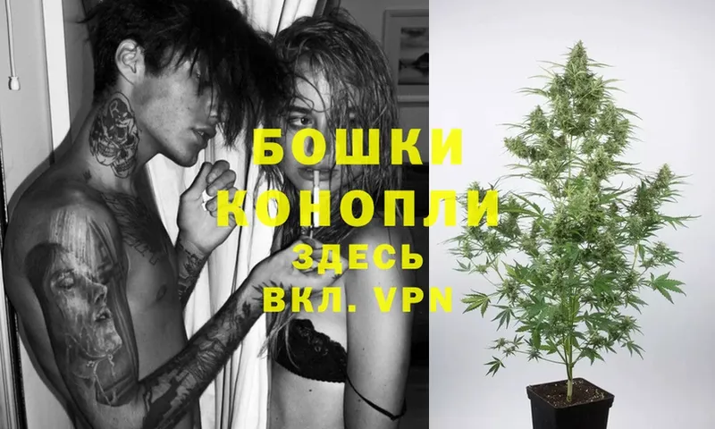 Бошки Шишки SATIVA & INDICA  Каменногорск 